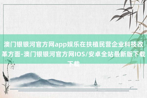 澳门银银河官方网app娱乐在扶植民营企业科技改革方面-澳门银银河官方网IOS/安卓全站最新版下载